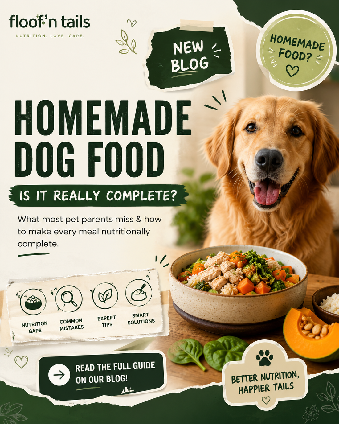 Is Homemade Dog Food Really Complete? | Floof'n'Tails