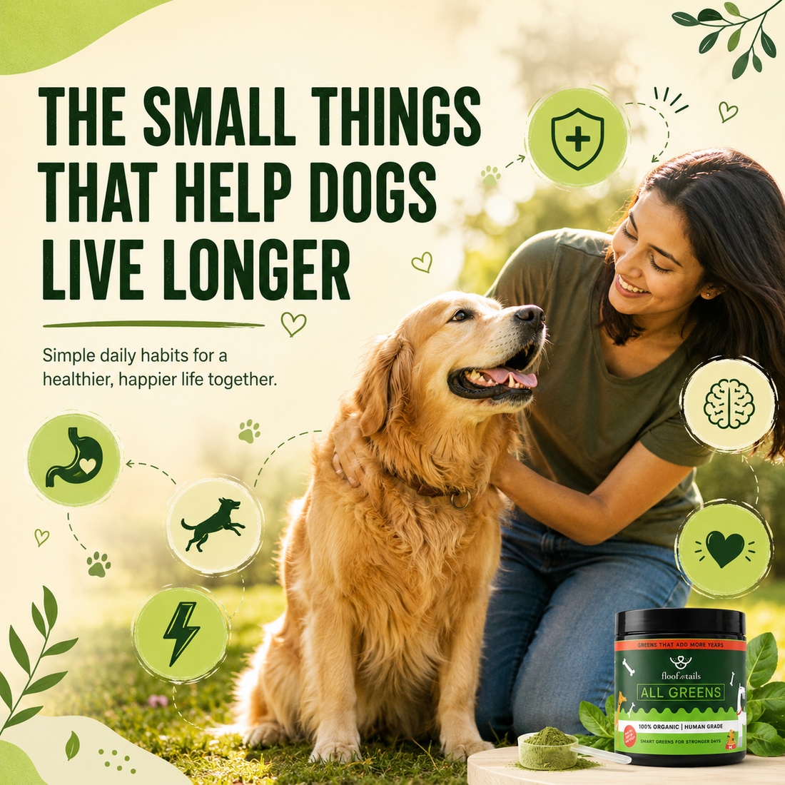 Dog Longevity Guide: Nutrition, Exercise, Mental Stimulation & Healthy Aging
