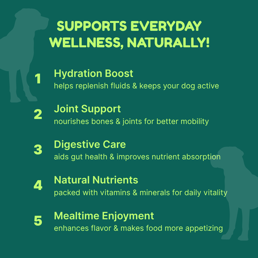 Veggie & Apple Broth for Dogs & Puppies - 100mL