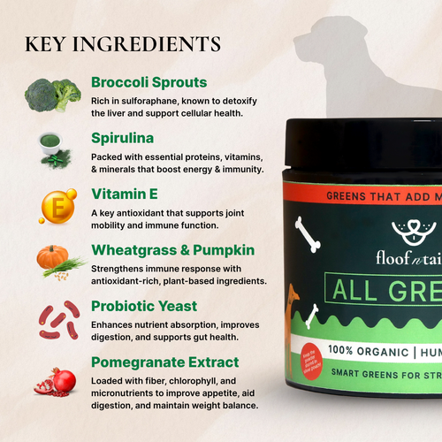 All Greens Superfoods - India's First Vet-Approved Plant-Based Superfood For Dogs