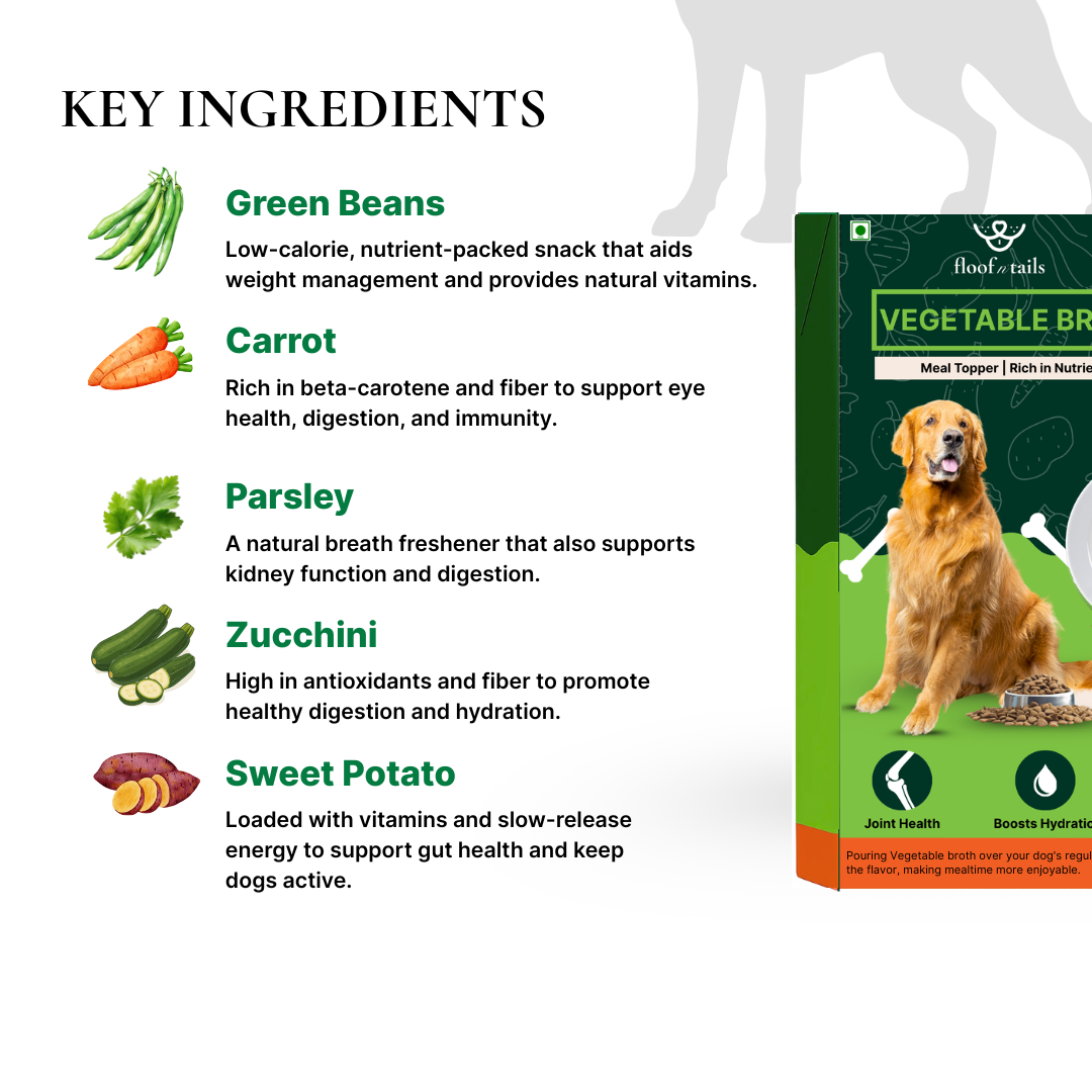 Vegetable Broth for Dogs & Puppies - 100mL