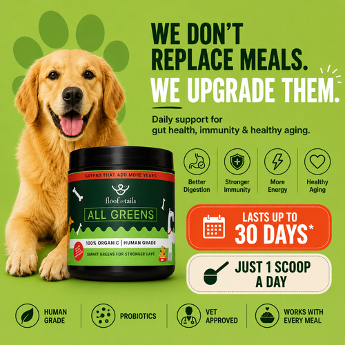 All Greens Superfoods - India's First Vet-Approved Plant-Based Superfood For Dogs