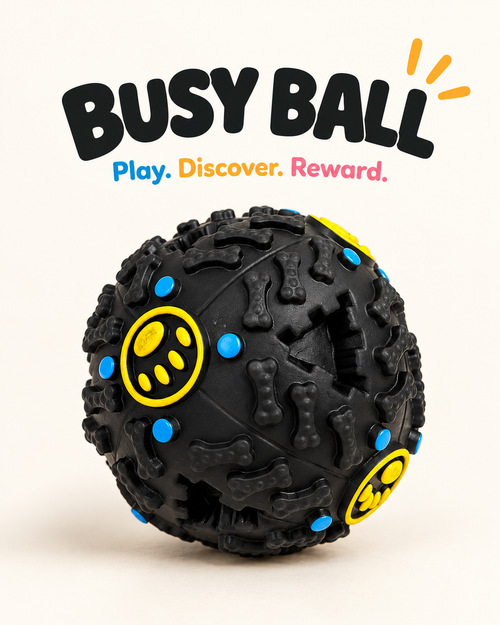Busy Ball