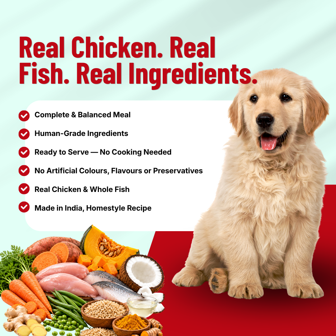 Homestyle Chicken & Fish Meal