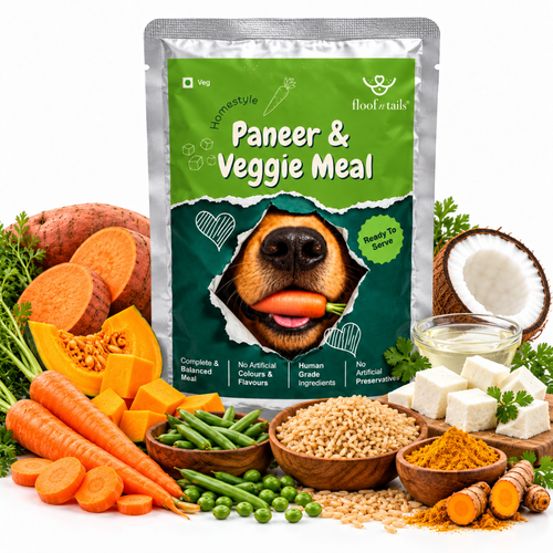 Homestyle Paneer & Veggie Meal
