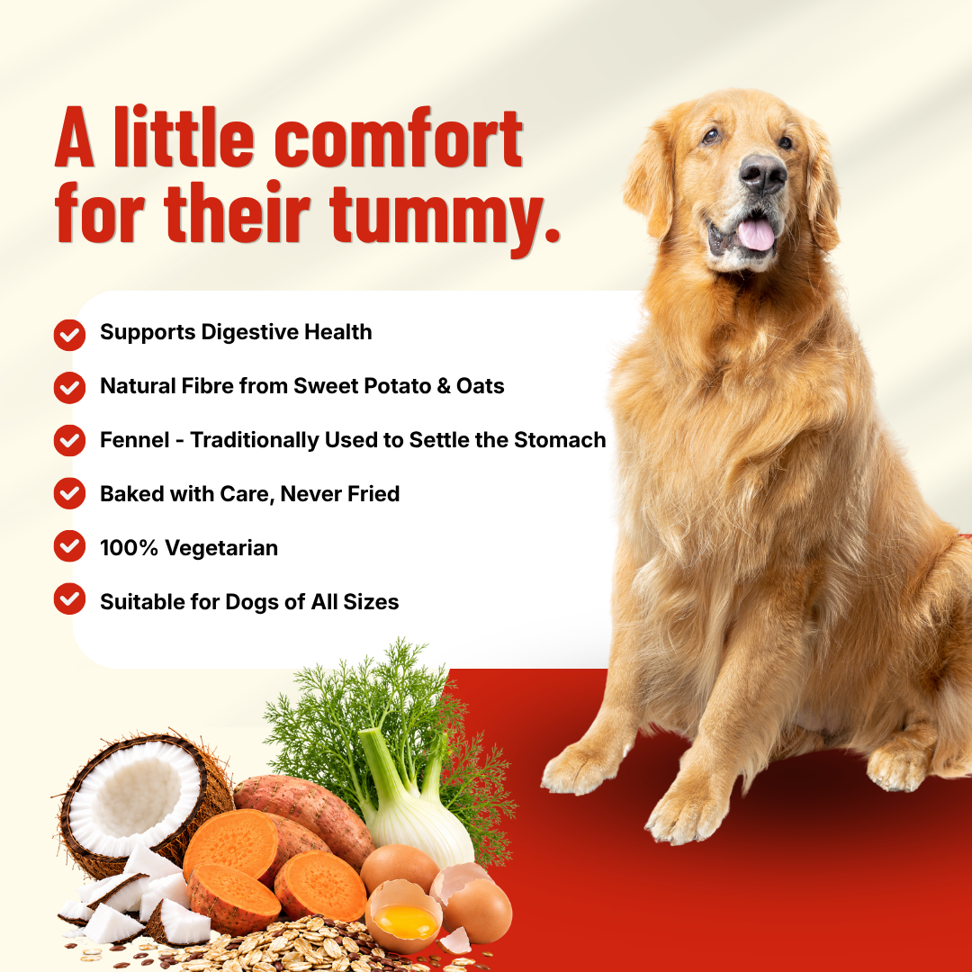 Tummy Comfort Bakes