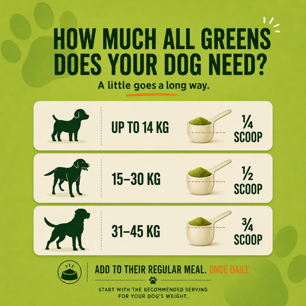 All Greens Nutrition Booster- Gut • Coat • Energy • Immunity