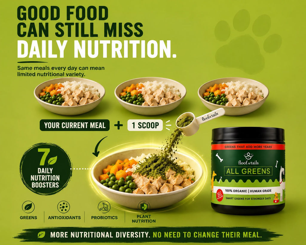 All Greens Superfoods - India's First Vet-Approved Plant-Based Superfood For Dogs