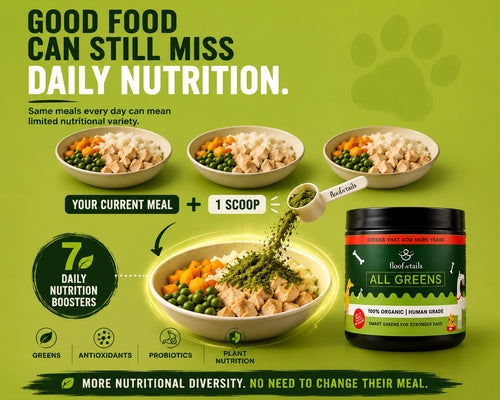 All Greens Superfoods - India's First Vet-Approved Plant-Based Superfood For Dogs