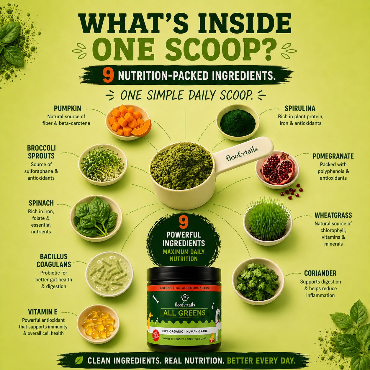 All Greens Superfoods - India's First Vet-Approved Plant-Based Superfood For Dogs