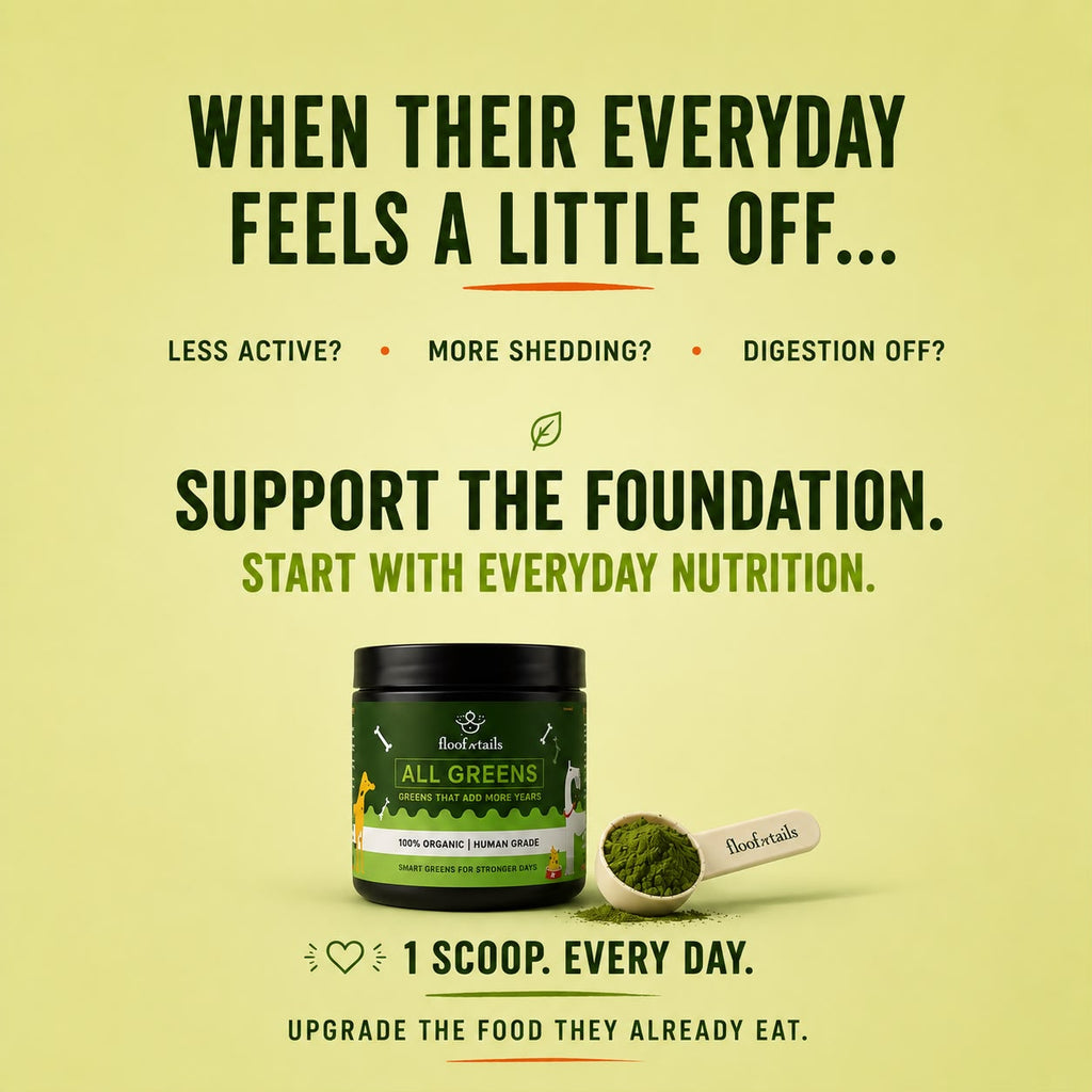 All Greens Superfoods - India's First Vet-Approved Plant-Based Superfood For Dogs