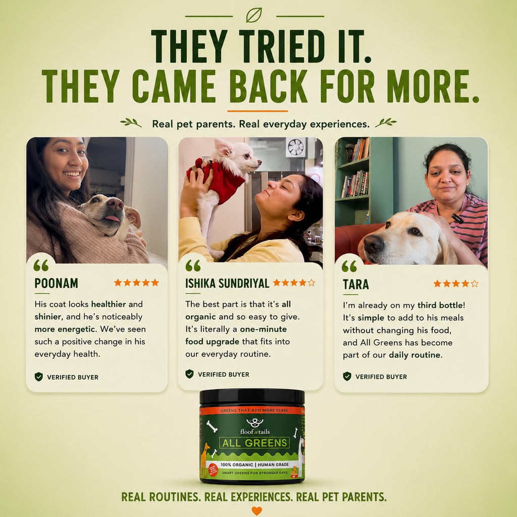 All Greens Superfoods - India's First Vet-Approved Plant-Based Superfood For Dogs