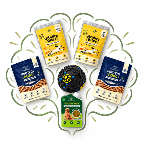 Brain & Enrichment Bundle